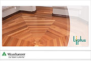 Lyptus Flooring