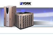 York International