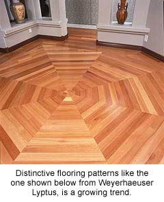 weyerlyptus_octagon_floor_caption