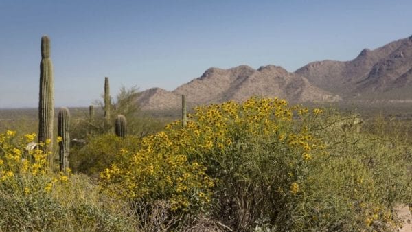 The 10 Best Places to Retire in Arizona in 2021 - NewHomeSource