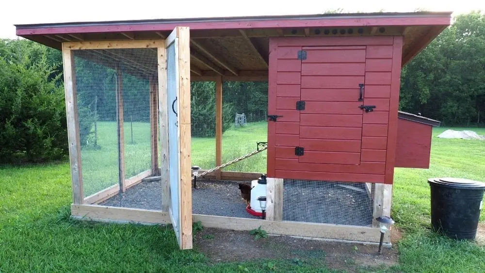 How to Start Your Own Chicken Coop - NewHomeSource