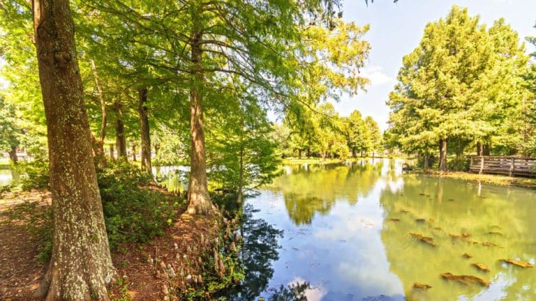 Louisiana's Hidden Gem: Chemin-A-Haut State Park - Where Adventure Meets Tranquility